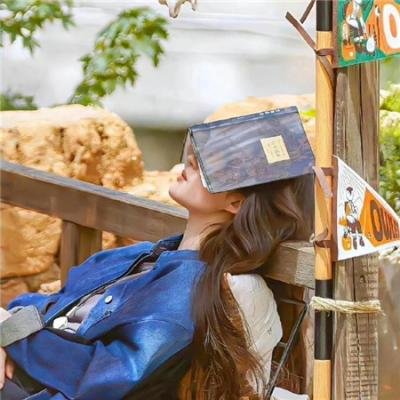 女爵恩仇录2︰复仇之路