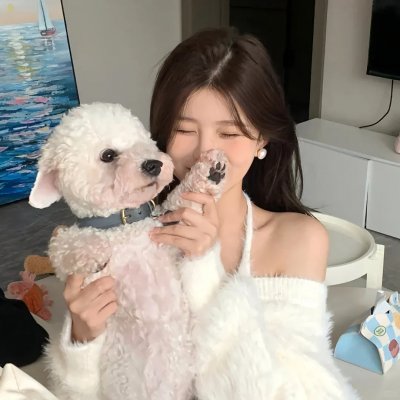 猫咪心动奇迹